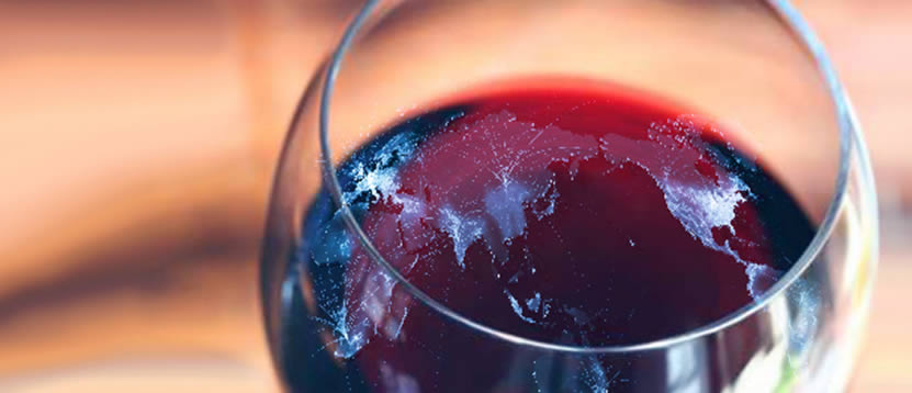 INVESTIRE ALL’ESTERO CON I SERVIZI OCM-VINO ORGANIZZATI DALLA EUROCONSULT