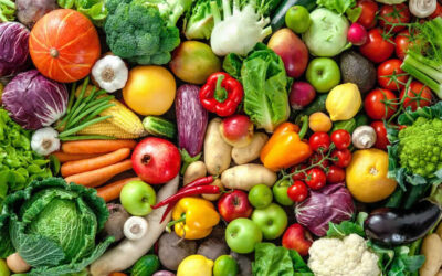 PROGRAMMA PER LA PROMOZIONE DEI PRODOTTI AGRICOLI UE – PROGRAMMA 2020
