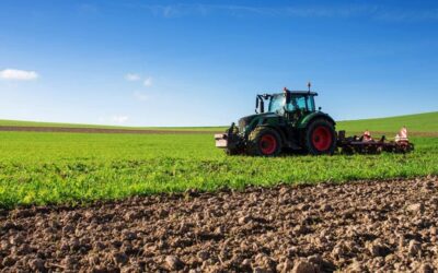 ISMEA Incentives for young farmers