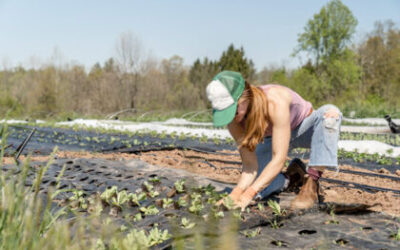 Biodiversità genetica e transizione agroecologica – nuovo bando Agroecology