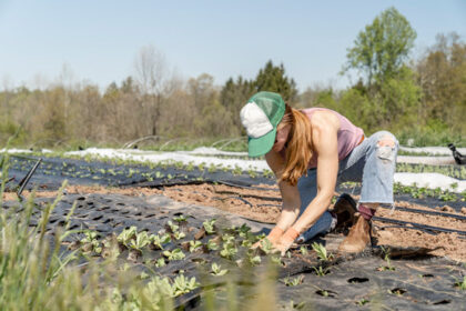 Biodiversità genetica e transizione agroecologica – nuovo bando Agroecology 