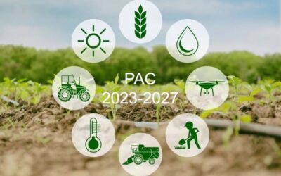Il Consiglio Europeo adotta la Pac 2023-27