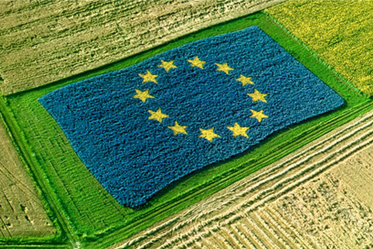 Prodotti agricoli: 186 milioni di euro dall’UE