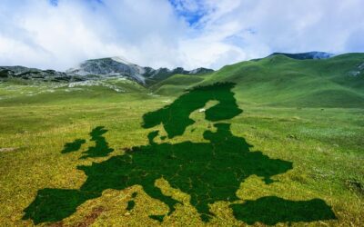 Progetti di ricerca, sviluppo e innovazione