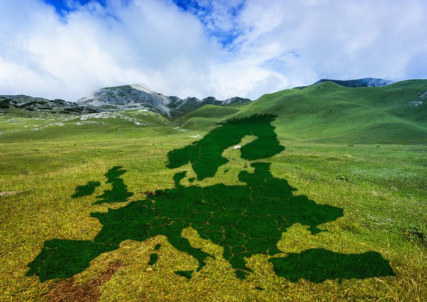 Progetti di ricerca, sviluppo e innovazione