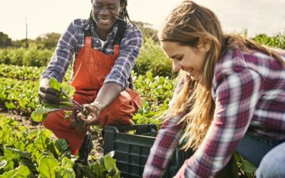 AVVISO DI SELEZIONE DI 20 CITTADINI IMMIGRATI DA FORMARE E AVVIARE ALL’IMPRENDITORIALITÀ NEL SETTORE DELL’AGRICOLTURA SOCIALE E INNOVATIVA
