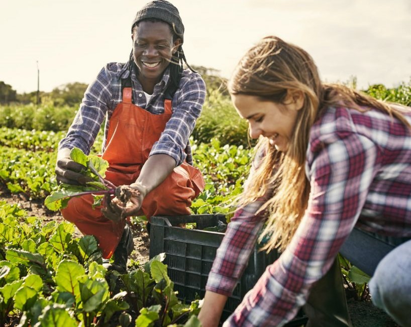 AVVISO DI SELEZIONE DI 20 CITTADINI IMMIGRATI DA FORMARE E AVVIARE ALL’IMPRENDITORIALITÀ NEL SETTORE DELL’AGRICOLTURA SOCIALE E INNOVATIVA