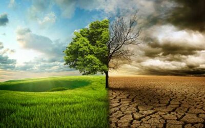 CDP – I nuovi strumenti finanziari di cooperazione