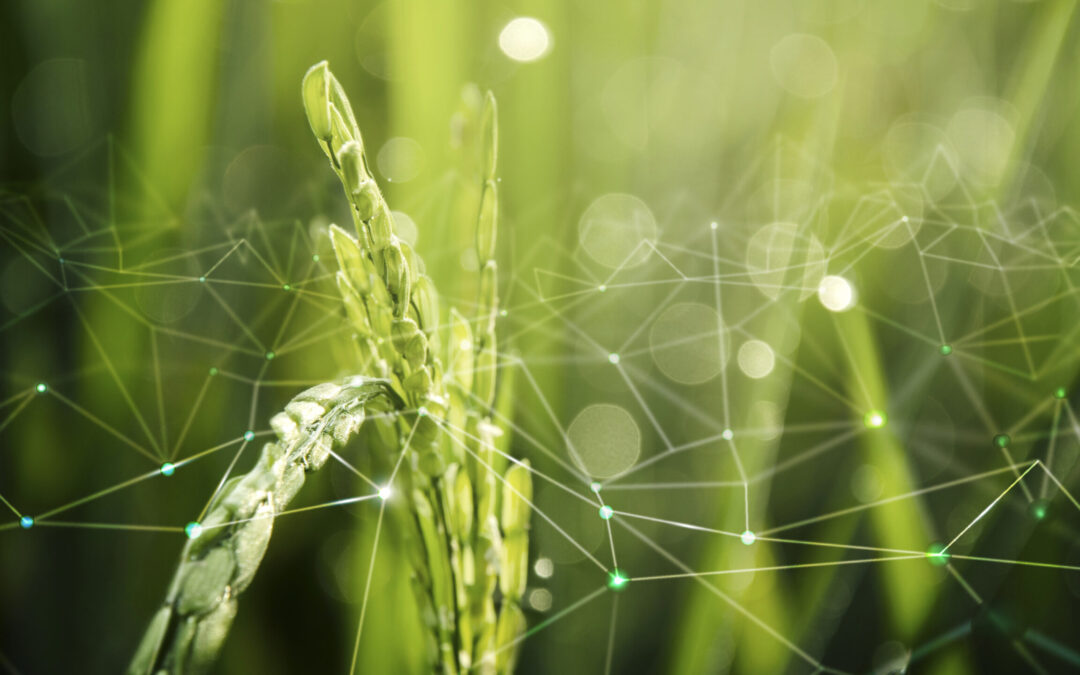 GATE5.0: Aperta la Open Call europea per progetti innovativi tra PMI agroalimentari e tecnologiche